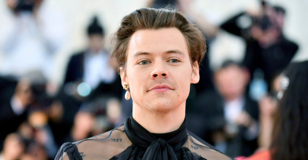 Harry Styles Eternals Debut Shows More Than One Direction in MCU Future